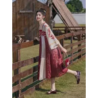 High-Waist Embroidered Hanfu Dress – Improved Spring/Summer Chinese-Style