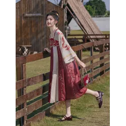 High-Waist Embroidered Hanfu Dress – Improved Spring/Summer Chinese-Style