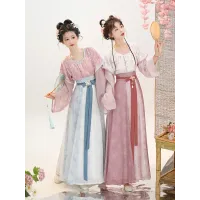 Printed Tang-Style Beizi & Eight-Slit Skirt Hanfu – Spring/Summer Daily