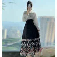 Hanfu, Ming-Style Daily-Use Improved Brocade Filigree Iridescent Ma mian Skirt Set