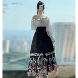 Hanfu, Ming-Style Daily-Use Improved Brocade Filigree Iridescent Ma mian Skirt Set