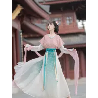 Tang-Style One-Piece Beizi & Eight-Slit Skirt Hanfu Set – Spring/Autumn Daily Wear