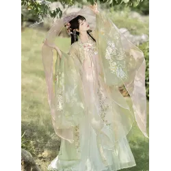 Heavy Embroidered Wide-Sleeve Top & One-Piece Hezi Skirt – Tang-Style Hanfu